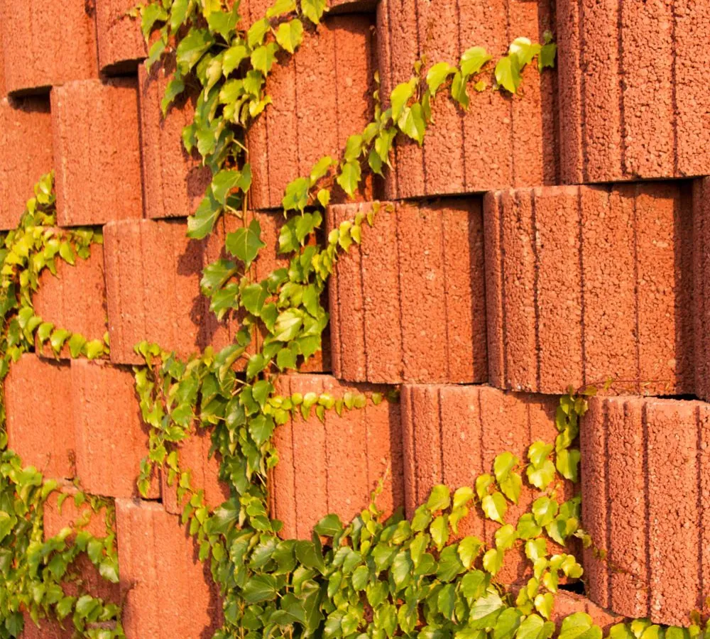 Gazon Flora Księżyc